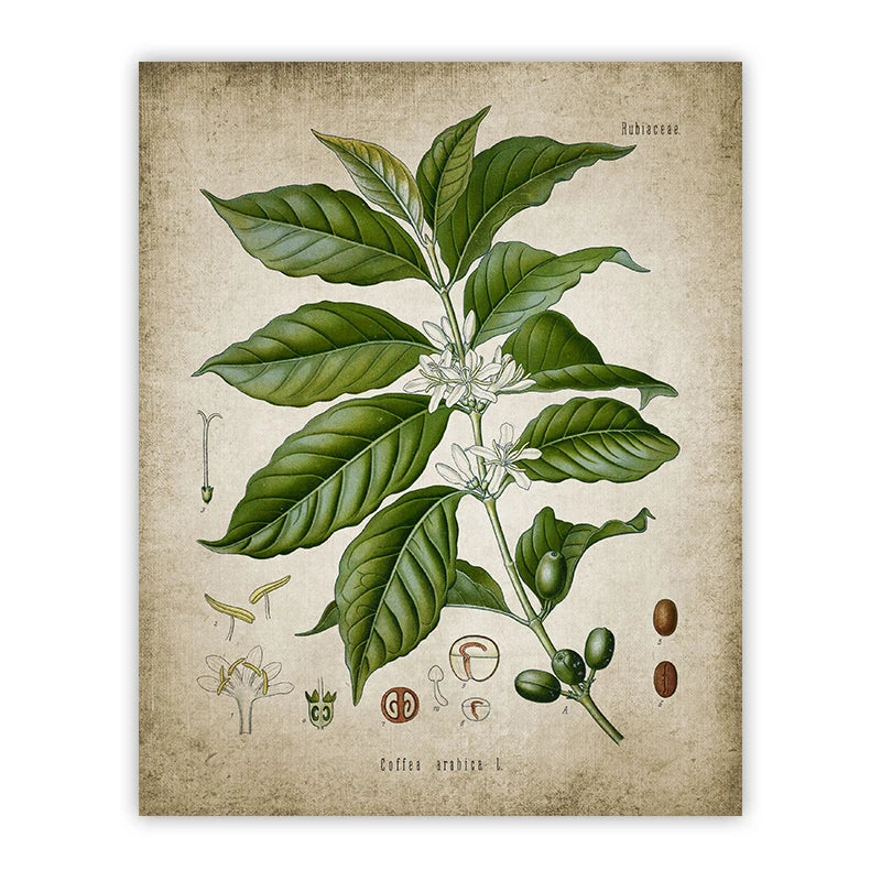 S103e64a7193b4803963fbb1878a3eb16T